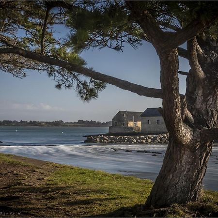 Les Villas De Locmiquel Bord De Mer バダン エクステリア 写真